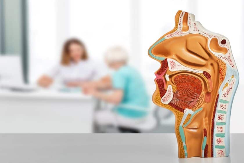 The Art and Science of ENT Care